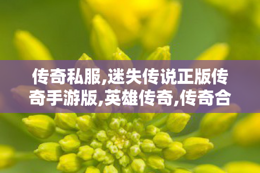 传奇私服,迷失传说正版传奇手游版,英雄传奇,传奇合计私服,英雄传奇