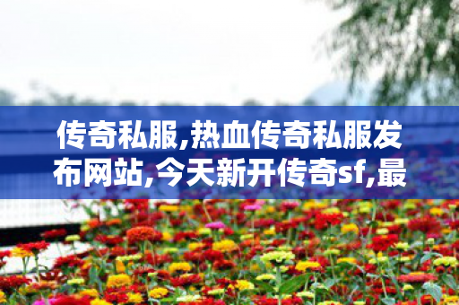 传奇私服,热血传奇私服发布网站,今天新开传奇sf,最新开私服,今天新开传奇sf