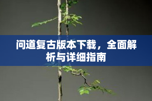 问道复古版本下载，全面解析与详细指南