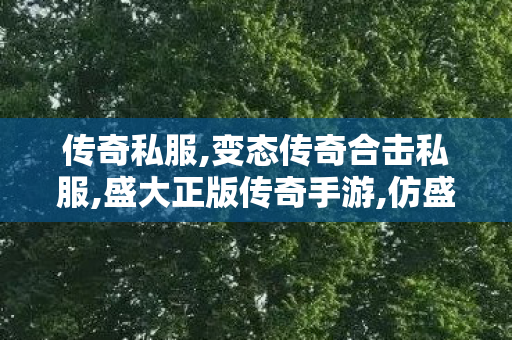 传奇私服,变态传奇合击私服,盛大正版传奇手游,仿盛大热血传奇私服,盛大正版传奇手游