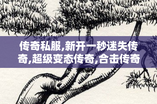 传奇私服,新开一秒迷失传奇,超级变态传奇,合击传奇私服网站,超级变态传奇