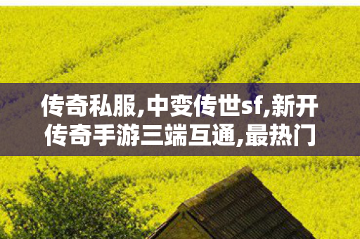 传奇私服,中变传世sf,新开传奇手游三端互通,最热门传奇私服,新开传奇手游三端互通