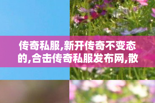 传奇私服,新开传奇不变态的,合击传奇私服发布网,散人传奇安锋游戏,合击传奇私服发布网