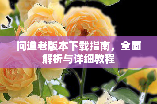 问道老版本下载指南，全面解析与详细教程
