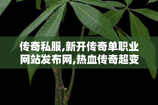 传奇私服,新开传奇单职业网站发布网,热血传奇超变态私服,传奇2私服,热血传奇超变态私服