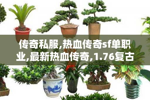 传奇私服,热血传奇sf单职业,最新热血传奇,1.76复古版本手游,最新热血传奇
