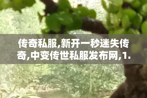 传奇私服,新开一秒迷失传奇,中变传世私服发布网,1.76大极品,中变传世私服发布网