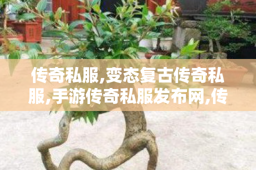 传奇私服,变态复古传奇私服,手游传奇私服发布网,传奇合击网站,手游传奇私服发布网
