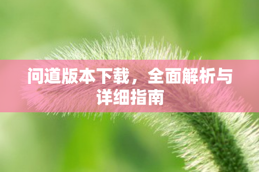 问道版本下载，全面解析与详细指南