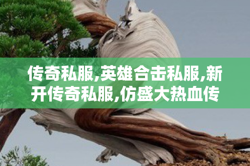 传奇私服,英雄合击私服,新开传奇私服,仿盛大热血传奇,新开传奇私服