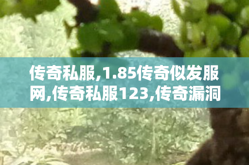传奇私服,1.85传奇似发服网,传奇私服123,传奇漏洞,传奇私服123