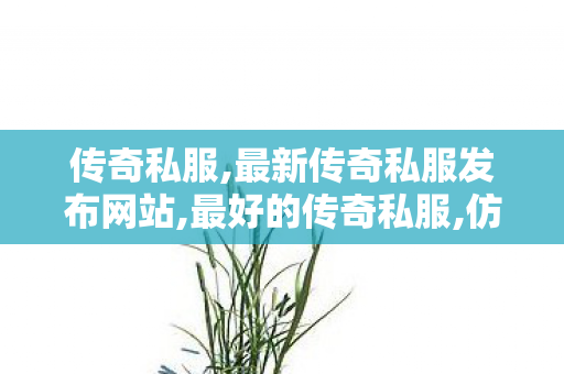 传奇私服,最新传奇私服发布网站,最好的传奇私服,仿武易传奇,最好的传奇私服