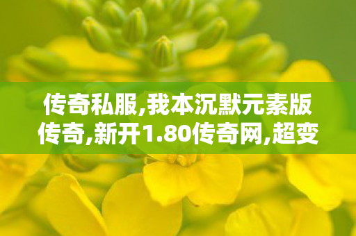 传奇私服,我本沉默元素版传奇,新开1.80传奇网,超变态传奇手游,新开1.80传奇网