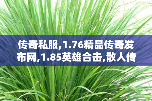 传奇私服,1.76精品传奇发布网,1.85英雄合击,散人传奇,1.85英雄合击