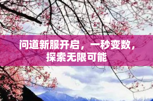 问道新服开启，一秒变数，探索无限可能