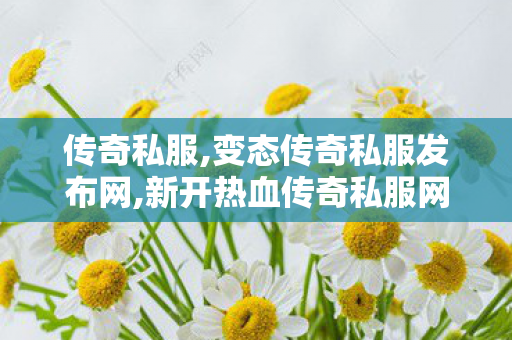 传奇私服,变态传奇私服发布网,新开热血传奇私服网,新开1.80网通,新开热血传奇私服网