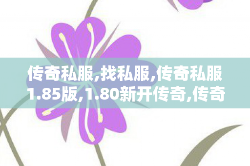 传奇私服,找私服,传奇私服1.85版,1.80新开传奇,传奇私服1.85版
