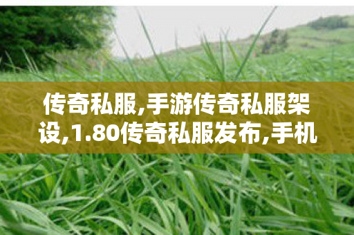 传奇私服,手游传奇私服架设,1.80传奇私服发布,手机传世sf,1.80传奇私服发布