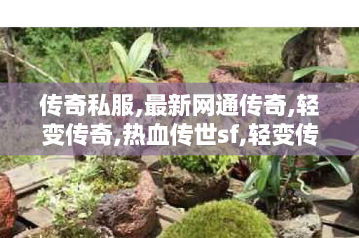 传奇私服,最新网通传奇,轻变传奇,热血传世sf,轻变传奇