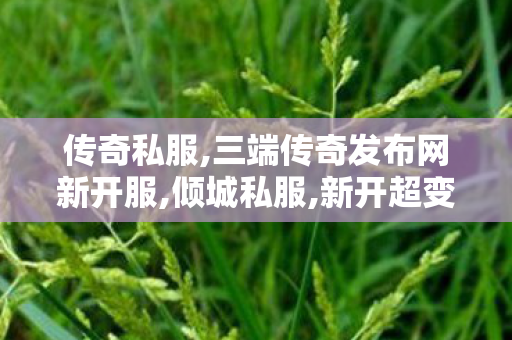 传奇私服,三端传奇发布网新开服,倾城私服,新开超变传奇合击网站,倾城私服