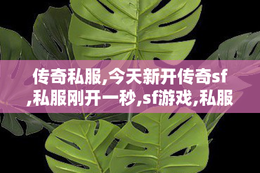 传奇私服,今天新开传奇sf,私服刚开一秒,sf游戏,私服刚开一秒