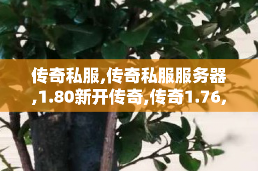 传奇私服,传奇私服服务器,1.80新开传奇,传奇1.76,1.80新开传奇