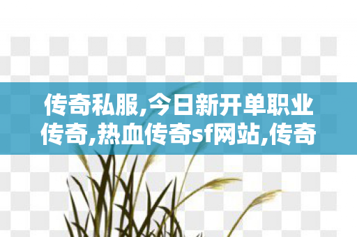 传奇私服,今日新开单职业传奇,热血传奇sf网站,传奇sf合击,热血传奇sf网站