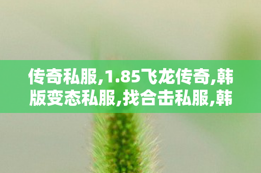 传奇私服,1.85飞龙传奇,韩版变态私服,找合击私服,韩版变态私服