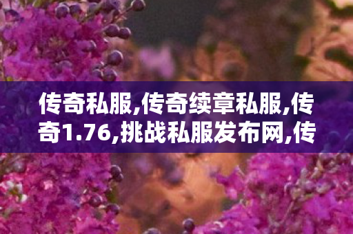 传奇私服,传奇续章私服,传奇1.76,挑战私服发布网,传奇1.76