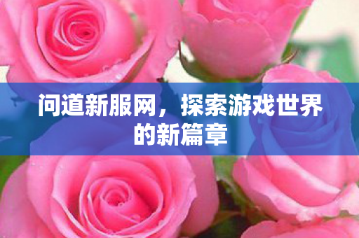 问道新服网，探索游戏世界的新篇章