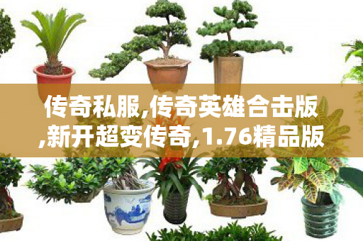 传奇私服,传奇英雄合击版,新开超变传奇,1.76精品版传奇,新开超变传奇