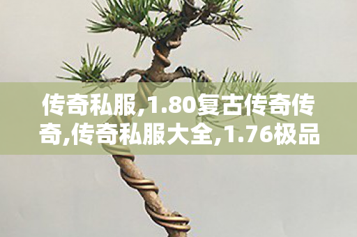 传奇私服,1.80复古传奇传奇,传奇私服大全,1.76极品传奇手游新开,传奇私服大全