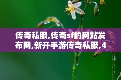 传奇私服,传奇sf的网站发布网,新开手游传奇私服,45woool传奇世界网站手机版,新开手游传奇私服