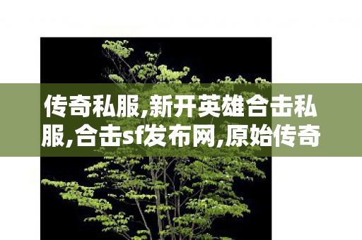 传奇私服,新开英雄合击私服,合击sf发布网,原始传奇华为版,合击sf发布网