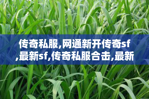 传奇私服,网通新开传奇sf,最新sf,传奇私服合击,最新sf