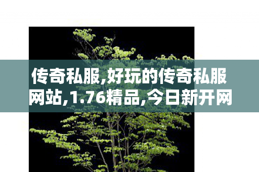 传奇私服,好玩的传奇私服网站,1.76精品,今日新开网页传奇,1.76精品