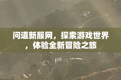 问道新服网，探索游戏世界，体验全新冒险之旅