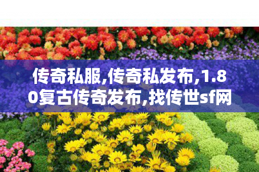 传奇私服,传奇私发布,1.80复古传奇发布,找传世sf网址,1.80复古传奇发布