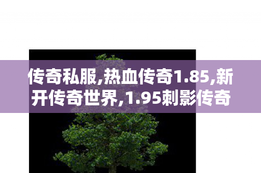 传奇私服,热血传奇1.85,新开传奇世界,1.95刺影传奇,新开传奇世界