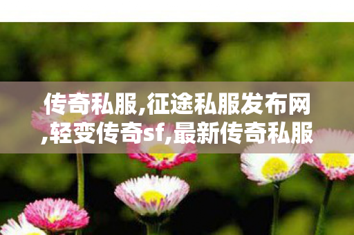 传奇私服,征途私服发布网,轻变传奇sf,最新传奇私服发布网站,轻变传奇sf