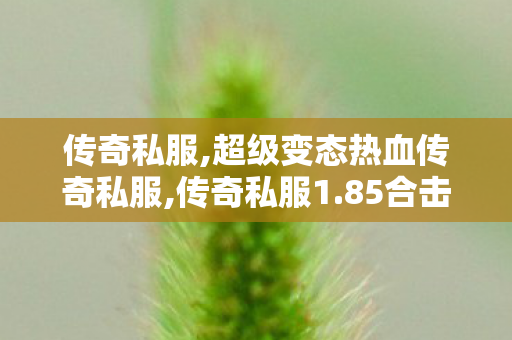 传奇私服,超级变态热血传奇私服,传奇私服1.85合击,传奇私服版本下载,传奇私服1.85合击