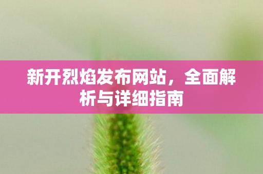 新开烈焰发布网站，全面解析与详细指南