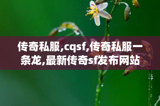 传奇私服,cqsf,传奇私服一条龙,最新传奇sf发布网站,传奇私服一条龙