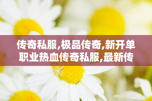 传奇私服,极品传奇,新开单职业热血传奇私服,最新传奇私服发布网,新开单职业热血传奇私服