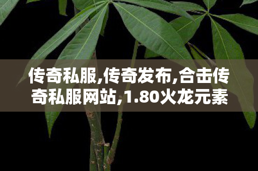 传奇私服,传奇发布,合击传奇私服网站,1.80火龙元素复古传奇,合击传奇私服网站