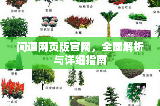 问道网页版官网，全面解析与详细指南