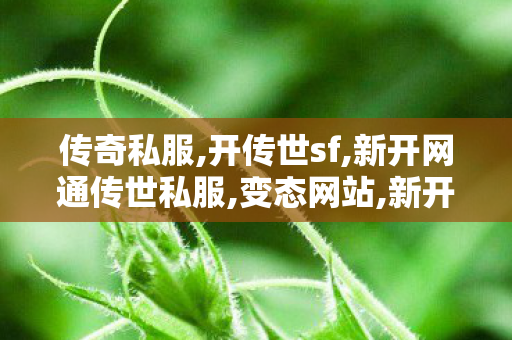传奇私服,开传世sf,新开网通传世私服,变态网站,新开网通传世私服