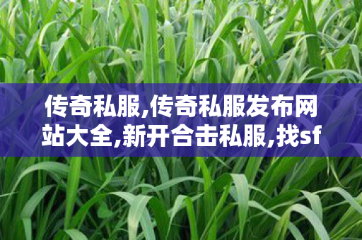 传奇私服,传奇私服发布网站大全,新开合击私服,找sf,新开合击私服