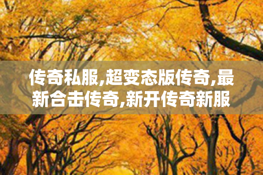 传奇私服,超变态版传奇,最新合击传奇,新开传奇新服,最新合击传奇
