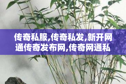 传奇私服,传奇私发,新开网通传奇发布网,传奇网通私服发布网,新开网通传奇发布网